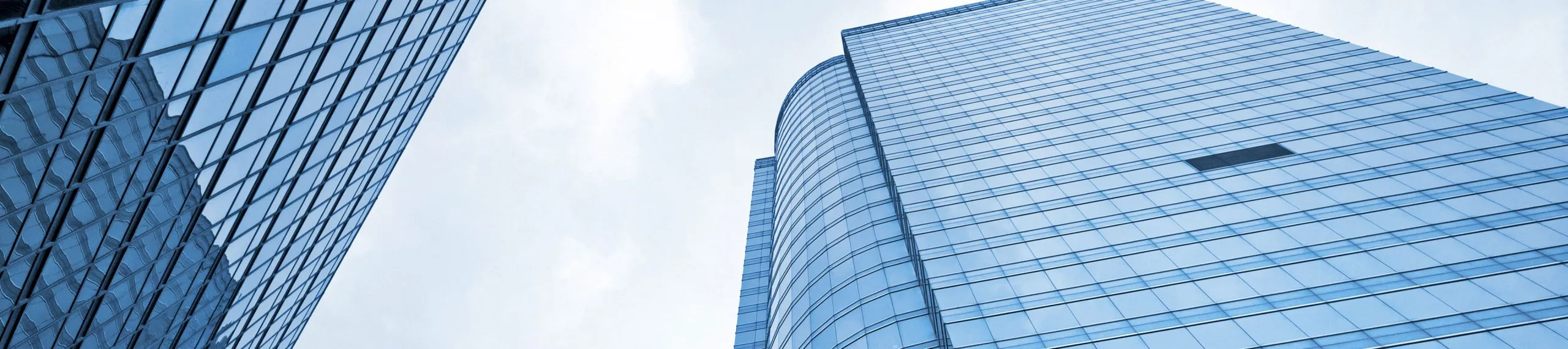 Business Strategy for Growth