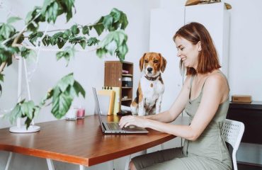 woman in green dress working from home at a desk with her dog and her laptop