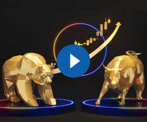 a golden bull and bear with investment graph
